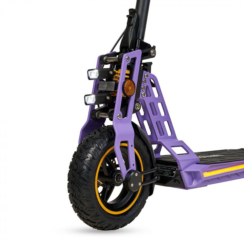 EcoXtreme Bison