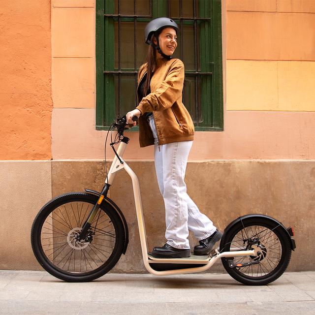Cecotec Bicinete Urban